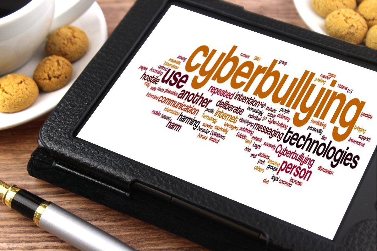 Incontro sul Cyberbullying a Verbania