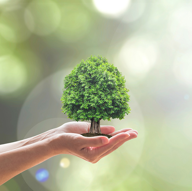 Abitare la Terra, le proposte di Fondazione Cogeme Onlus